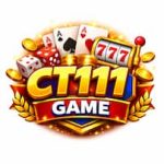 CT111 Game