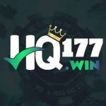 Hq177 Win