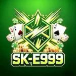 SKE999 Game